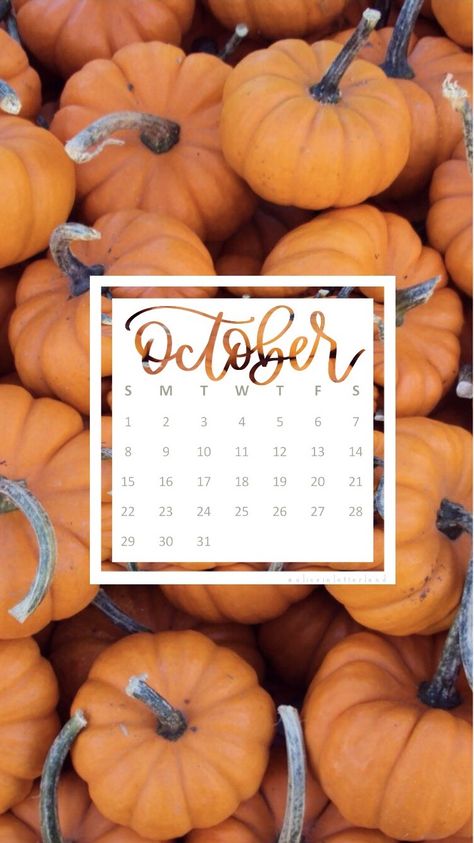 October 2023 Iphone Wallpaper, October 2023 Calendar Wallpaper Iphone, October 2023 Calendar Wallpaper, Hello October Wallpapers, October Calendar Wallpaper, 2017 Wallpaper, Calendar Background, Cute Backgrounds For Iphone, October Calendar