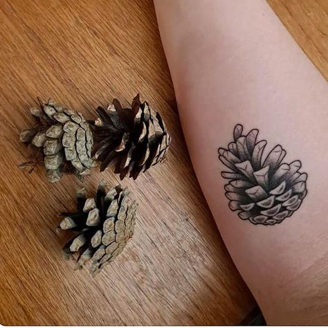 Pine Cone Tattoo Simple, Pinecone Tattoo Minimalist, Tattoo Pinecone, Thoughts Tattoo, Pine Cone Tattoo, Pinecone Tattoo, Cone Tattoo, Tattoo Design Ideas For Women, Lovers Tattoo