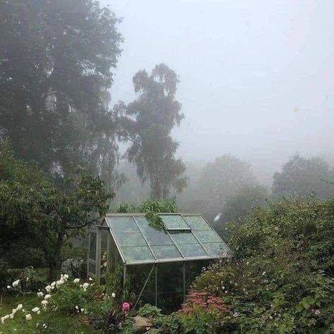 Flower Cottagecore, Foggy Weather, Dark Paradise, The Fog, Green House, Pretty House, Nature Aesthetic, Pretty Places, Heaven On Earth