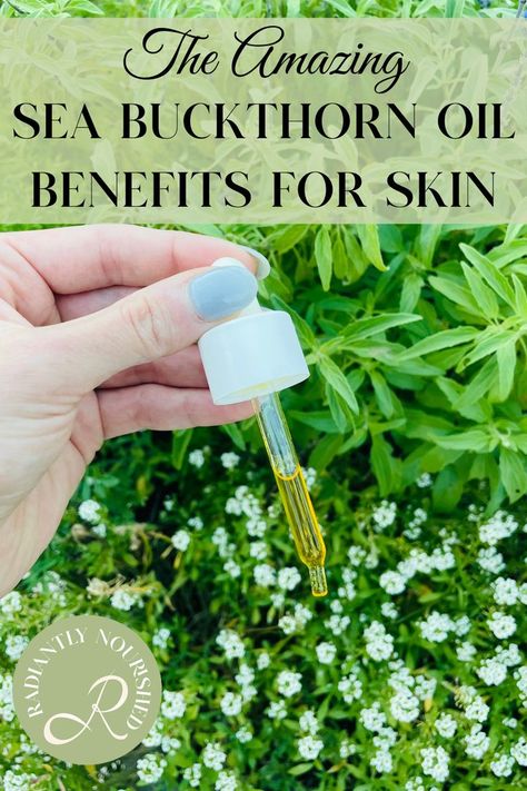 sea buckthorn oil benefits skin Sea Buckthorn Oil Benefits, Oil Benefits For Skin, Medicine Garden, Sea Buckthorn Oil, Favorite Skincare Products, Skin Care Items, Sea Buckthorn, Oil Benefits, Skincare Review