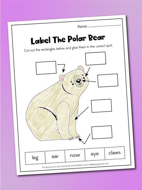 Polar Bear Books Preschool, Arctic Animals Kindergarten Activities, Polar Bear Lesson Plans Preschool, Preschool Polar Bear Activities, Polar Activities For Preschool, Polar Bear Polar Bear What Do You Hear Activities Preschool, Polar Bear What Do You Hear Activities, Polar Bear Polar Bear What Do You Hear Activities, Polar Bear Activities For Kindergarten