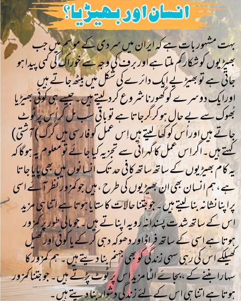 #man #wolf #same #human #interestingstory #instractivestory #urdu #urduadab #urduquotes #urduStory #story Man And Wolf, Story In Urdu, Islamic Knowledge In Urdu, Urdu Story, History Of Islam, Realist Quotes, Iphone Wallpaper Stills, Urdu Stories, Interesting Story