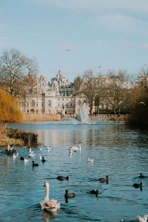 The prettiest photo locations in London | CN Traveller Seaside Photoshoot, London In Spring, St James Park London, Whitehall London, Places To Visit In London, London Sightseeing, Places In London, Famous Food, St James Park