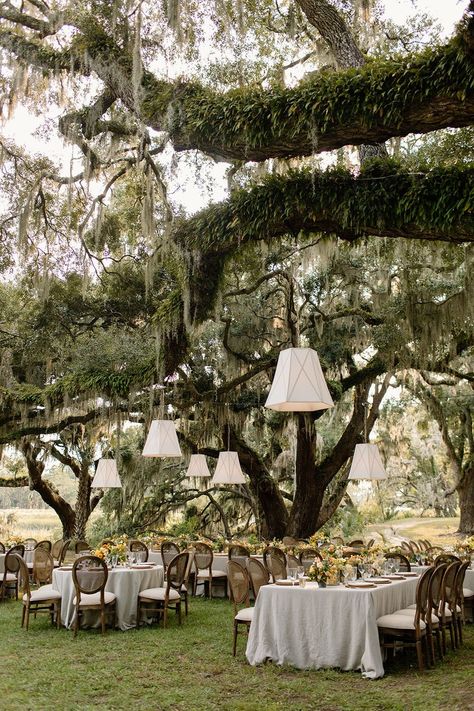 Wedding Venues Backyard, Chic Ranch Wedding, Bridal Party Themes Color Schemes, Waimea Falls Wedding, Old House Wedding Venues, Fall Charleston Wedding, 30a Wedding Venues, Country Side Weddings, Australian Wedding Venues