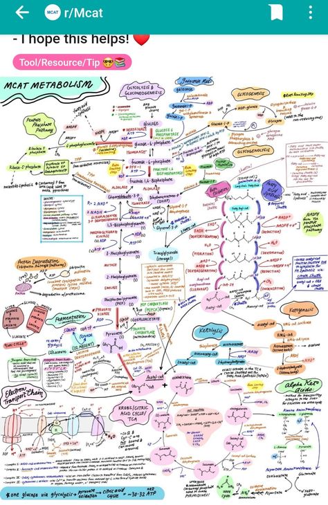 Biochemistry Metabolism Pathways, Metabolic Pathways Map, Metabolism Biochemistry, Mcat Notes, Metabolic Pathways, Biochemistry Notes, Mcat Study, Medical School Life, Vet Medicine