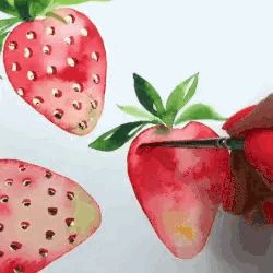 Sensory Images, Random Gif, Art Videos, Animal Crossing, Strawberries, Gif, Fruit, Anime, Color