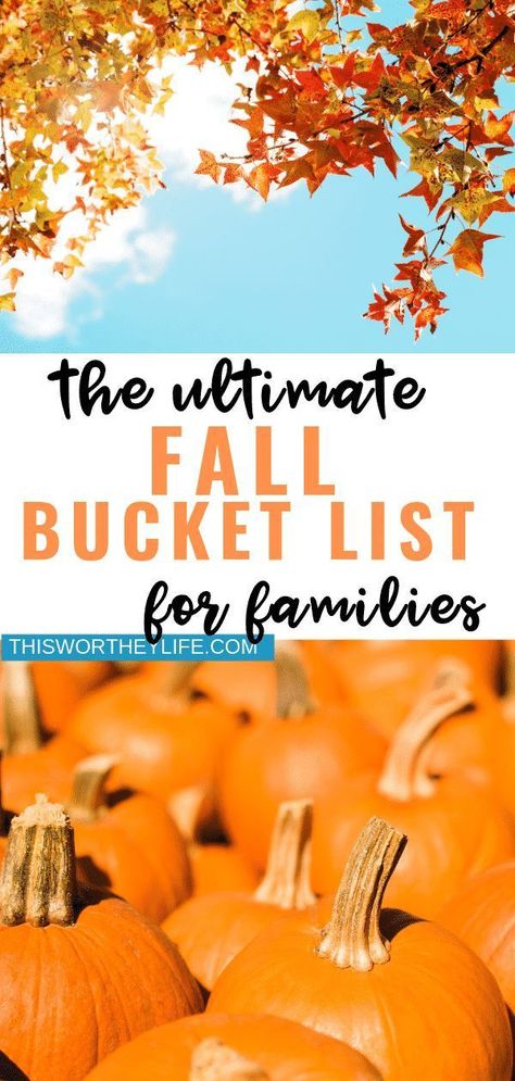 If you're looking for fun family activities to do this fall with your family--- look no further! Here's the ultimate guide- the best fall bucket list full of ideas for families. Grab the kids and head out to a pumpkin patch, create some leaf art and sip on cider- check out more fun ideas on the blog! #fall #fallbucketlist #bucketlist #pumpkinpatch #applecider #fallactivities #thingstodoinFall Fall Bucket List Ideas, Family Time Activities, Bucket List Ideas, Autumn Activities For Kids, Fall Bucket List, Fun Family Activities, Fall Travel, List Ideas, Summer Bucket Lists