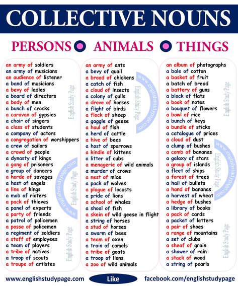 Collective Nouns Worksheet, English Collocations, Nouns Worksheet, Collective Nouns, Teaching English Grammar, English Phonics, English Learning Spoken, English Vocab, Learn English Grammar