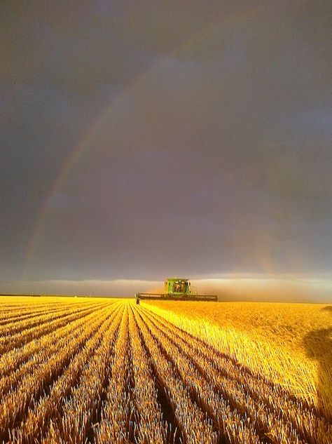 State Of Kansas, Rainbow Garden, Fields Of Gold, Rain Garden, Ulsan, Garden City, Country Farm, Country Life, A Rainbow