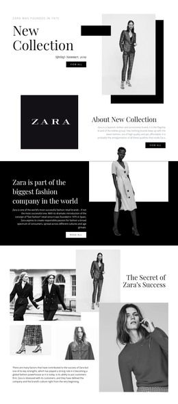 Fashion news WordPress Theme Zara Website, Web Trends, Chemical Equation, Zara Collection, Princess Coloring Pages, Beauty Website, Wp Themes, Web Designs, Big Fashion