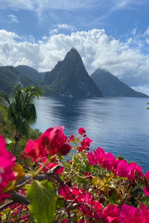 Unlock the secrets of St. Lucia with this ultimate travel guide!🌴 Explore Soufriere, dive into mesmerizing blue waters, and marvel at the Pitons from your private boat day. From luxurious stays to adrenaline-pumping adventures, our blog post is your key to a perfect Caribbean escape. St. Lucia is a must add destination to your bucket list! 🌞🌊 #StLuciaGuide #CaribbeanTravel #BucketList St Lucia Aesthetic, At Lucia, Saint Lucia Vacation, St Lucia Pitons, St Lucia Photography, Soufriere St Lucia, Castries St Lucia, Pitons St Lucia, Royalton St Lucia