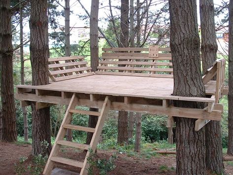 Backyard Circus, Pallet Tree Houses, Tree Forts, Adult Tree House, Treehouse Ideas, Tree Deck, Fitness Trail, Bushcraft Shelter, Tree House Plans