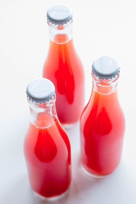 Spring Strawberries, Make Your Own Kombucha, Diy Kombucha, Kombucha Drink, Kombucha Flavors, How To Brew Kombucha, Kombucha Recipe, Homemade Kombucha, Kombucha Tea