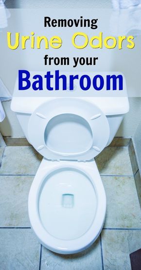 Boy Bathroom Smell, Remove Urine Smell, Toilet Odor, Pee Smell, Bathroom Odor, Enzyme Cleaner, Urine Odor, Urine Smells, Bathroom Smells