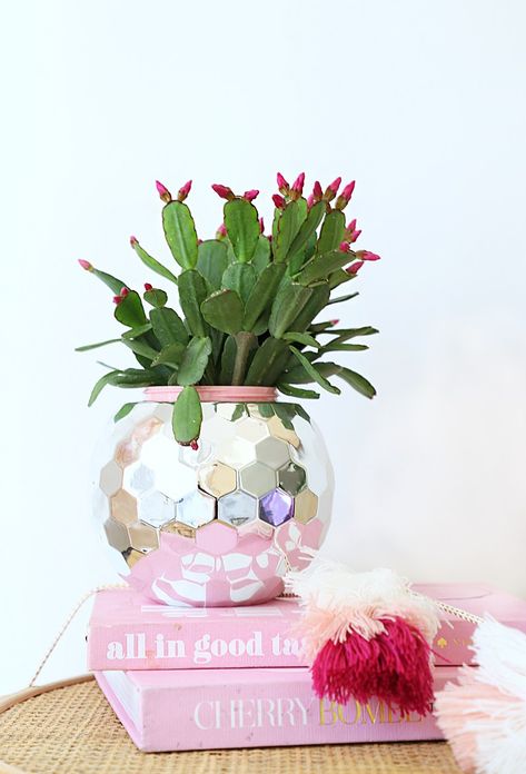 Disco Ball Christmas, Disco Ball Planter, Diy Disco Ball, Disco Ball Cup, Pink Disco Ball, Disco Ball Light, Pink Disco, Hanging Terrarium, Succulent Planters