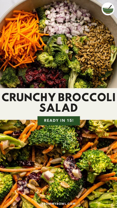 This Vegan Broccoli Salad tosses crunchy veggies, sunflower seeds, and chewy dried fruit in a creamy and tangy dressing to give you the best side dish for picnics, potlucks, and warm weather meals! Vegan, Gluten-Free, & Oil-Free. Broccoli Power Salad, Tangy Broccoli Salad, Raw Broccoli Salad Recipes, Broccoli Peanut Salad, Vegan Broccoli Salad Recipe, Vegan Thanksgiving Salad, Seed Oil Free Diet, Salad Recipes Broccoli, Vegan Fruit Salad