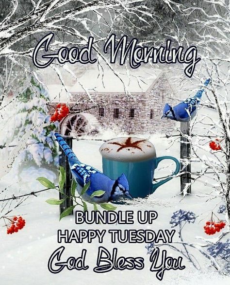 Christmas Greetings Quotes, Tuesday Quotes Good Morning, Tuesday Greetings, Good Morning Winter, Good Morning Tuesday, Good Morning Happy Friday, Tuesday Quotes, Good Morning Flowers Quotes, Good Morning Beautiful Flowers