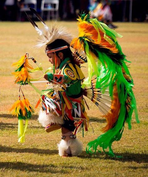 Native Child, Native American Dance, Native American Children, Native American Regalia, Native American Photos, Native American Peoples, Native American Heritage, American Indian Art, American Spirit