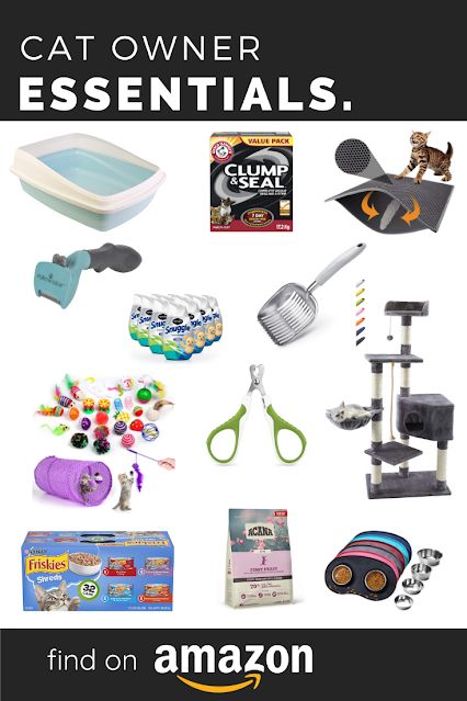 Must Have Cat Items, Cat Owner Must Haves, Cat Shopping List, First Time Cat Owner Checklist, Best Cat Products, Kitten Must Haves, Amazon Cat Must Haves, New Cat Checklist, Kitten Items