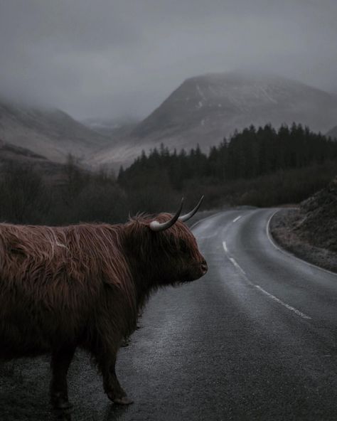 Dark Landscape Photography, Scottish Highlands Winter, Hipster Camping, Watercolour Reference, Scottish Scenery, Photography Scenery, Landscape Photography Art, Dark Landscape, Camping Photography