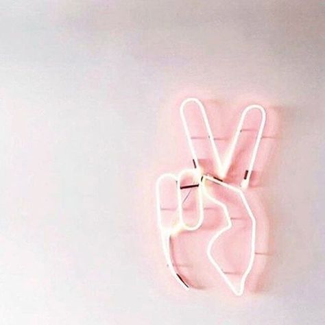 peace sign lights Pink Neon, Neon Sign, Light Pink, Neon, Wall, Pink, Instagram