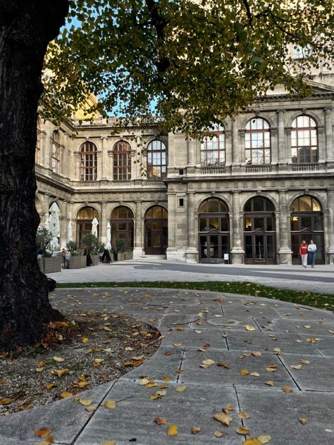 University Of Vienna Aesthetic, Vienna University Aesthetic, Vienna Core, Vienna University, Vienna Aesthetic, European University, Vienna Waits For You, University Of Vienna, Vienna City