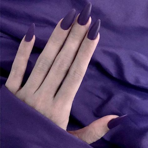 Purple Pointy Nails, Dark Purple Acrylic Nails, Nails Solid Color, Nails Grunge, Dark Purple Nails, Nails Solid, Pointy Nails, Fashion Dark, Purple Nail Designs