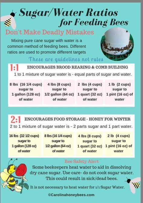 Sugar Water For Bees, Bee Syrup, Water For Bees, Apiary Beekeeping, Honey Bee Farming, Honey Bee Facts, Honey Bees Keeping, Bee Hives Diy, Feeding Bees