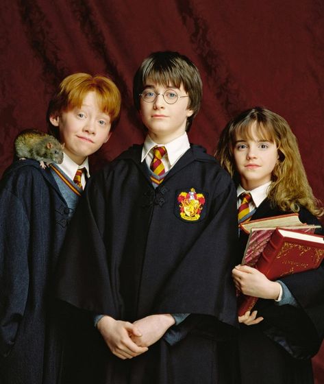 Trio | Harry Potter Wiki | Fandom Weasley Wizard Wheezes, Hogwarts Uniform, Harry Potter Wiki, Weasley Family, Teacher Leader, Harry And Hermione, Ronald Weasley, Three Best Friends, Images Harry Potter