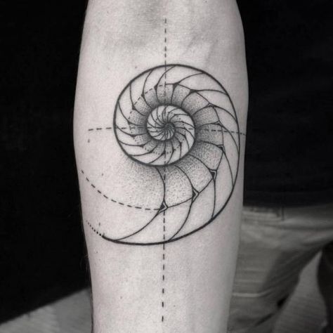 130 Shell Tattoos Make You Wonder Sea Life | Art and Design Fibonacci Tattoos, Fibonacci Tattoo Sacred Geometry, Fibonacci Spiral Tattoo, Fractal Tattoo, Golden Ratio Tattoo, Spiral Tattoo, Blatt Tattoos, Fibonacci Tattoo, Spiral Tattoos