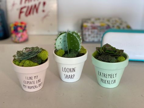 Cricut Wood Projects, Cricut Wood, Paper Succulents, Plant Puns, Diy Home Projects, Foam Paint, Plant Pot Diy, Glossy Paint, Paper Plants