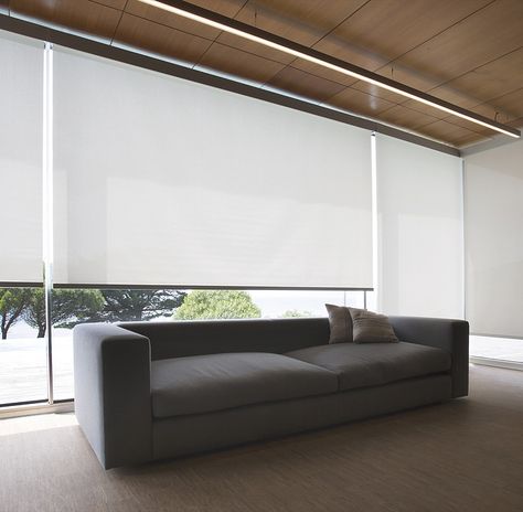 Gallery of Decorative Roller Shades - Q-Box Systems - 1 Panel Blinds, Traditional Curtains, Dim Gray, Window Covering, Roller Shades, Curtain Designs, Roller Blinds, Window Coverings, Curtains With Blinds