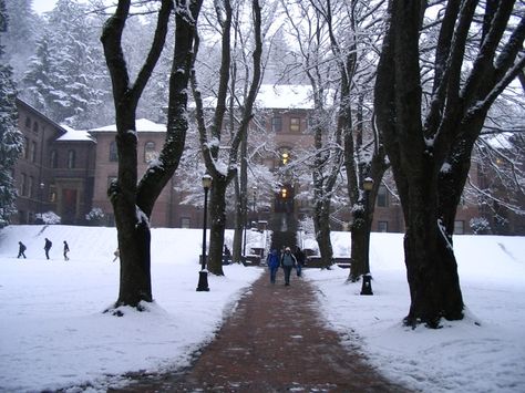 Student activists demand millions to reshape their institution and punish faculty members who violate ‘social justice’ taboos. Washington College, Western Washington University, Bellingham Washington, Washington University, Western Washington, University Of Washington, College Campus, Puget Sound, College Life