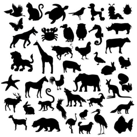 A set of Animals Silhouette Jungle Animal Silhouette Printable Free, Simple Animal Silhouette, Animal Silhouette Printable, African Animal Silhouette, Animal Shadow, Animals Silhouette, Native American Animals, Silhouette Animals, Puppet Stage