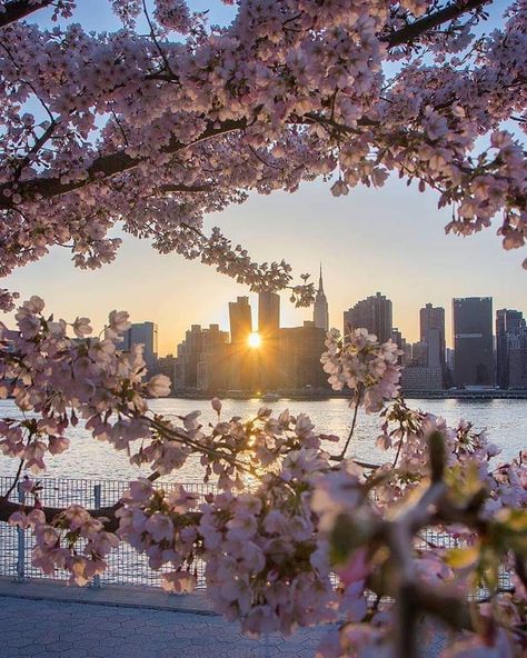 Ig Graphics, New York Picture Ideas, City Aesthetics, Vancouver Travel, Spring In New York, Voyage New York, Soft Spring, New York Pictures, Nyc Aesthetic