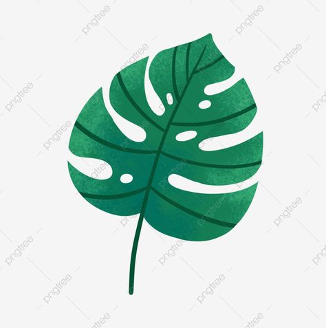 Cartoon Leaves, Leaves Cartoon, Large Leaf Plants, Tropical Clipart, Plant Clipart, Cartoon Leaf, Leaf Png, Plant Cartoon, Leaves Png