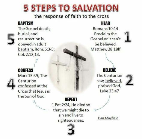 Hear, believe, repent, confess, and be baptized. Salvation Scriptures, The Gospel Of Jesus Christ, Learn The Bible, Kids Camp, Bible Study Topics, Bible Study Help, Journal Notes, Bible Study Notebook, Study Scripture