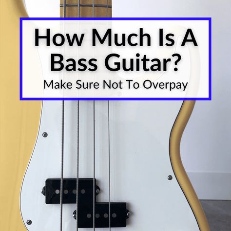 Bass Guitar Body Shapes, How To Read Bass Guitar Music, Bass Vs Electric Guitar, How To Play Bass Guitar Learning, 5 String Bass Guitar, Custom Bass, 12 String Guitar, Distortion Pedal, Guitar Tips