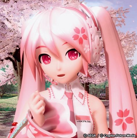 Hatsune Miku (sakura) Icon #proseka #projectsekai #pjsk #prsk #miku #hatsunemiku Tumblr Goth, Solo Pfp, Sakura Miku, Miku Vocaloid, Prettiest Girl, Miku Cosplay, Madoka Magica, Good Smile, Phone Themes