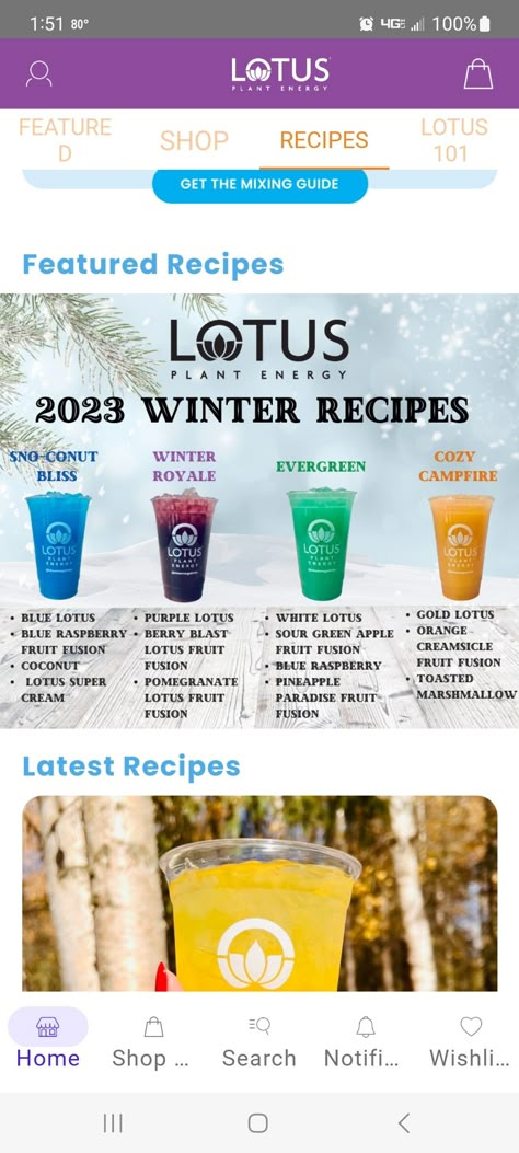 November Lotus Drinks, Holiday Lotus Drinks, How To Make A Lotus Energy Drink, Christmas Lotus Drinks, Lotus Energy Recipes, Winter Lotus Drinks, Lotus Recipes Drink, Blue Lotus Energy Drink Recipes, Lotus Energy Drink Combinations