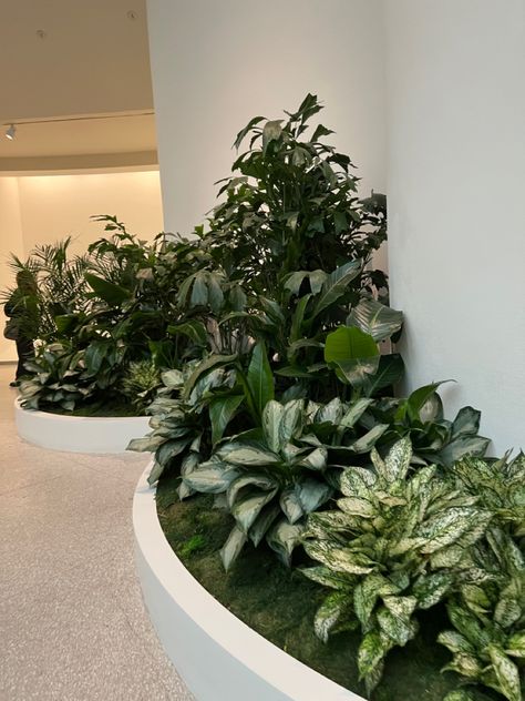 Indoor Landscape Design, Hotel Plants, Dental Office Design Interiors, Green Apartment, Bottle Garden, Lobby Interior, Interior Plants, Plant Aesthetic, Apartment Garden