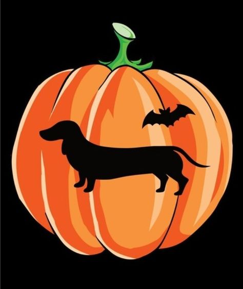 Dachshund Pumpkin Carving, Dachshund Pumpkin, Pumpkin Carving Pattern, Arte Dachshund, Pumpkin Carving Patterns, Pumpkin Carving Templates, Halloween Pumpkins Carvings, Pumpkin Ideas, Halloween 2