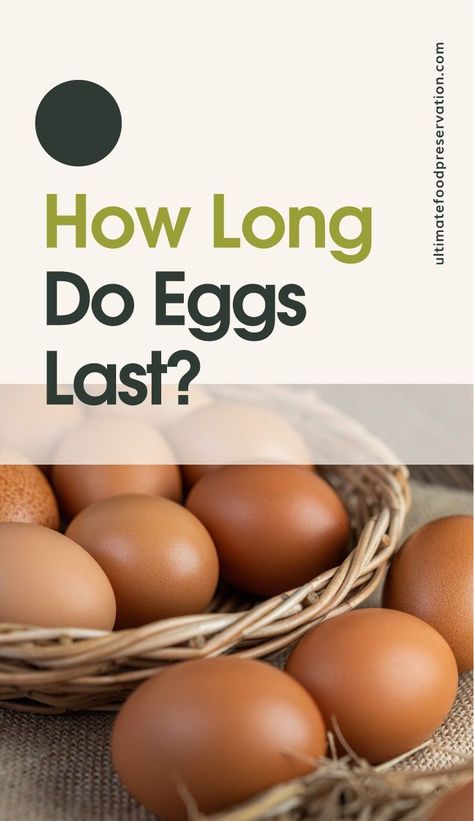 Find out how you can preserve eggs and extend their shelf-life plus exactly how long you can keep fresh eggs in your pantry before they go bad.| Discover more about preserving at ultimatefoodpreservation.com #foodpreservationandstorage #foodpreservationhacks #eggsrecipes #homesteadpantry Preserve Eggs, Pantry On A Budget, Preserving Eggs, Food Stockpile, Food Preservation And Storage, Homestead Pantry, Superfoods Benefits, Food Shelf Life, Super Foods List