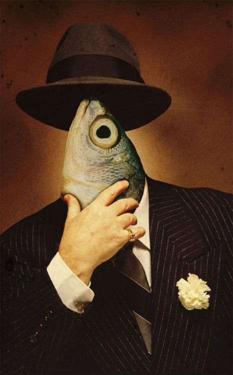 A Man, Mask, Fish, Hotel