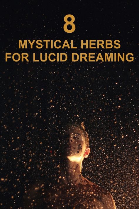 Lucid Dream Herbs, Daglig Motivation, Lucid Dreaming Techniques, Psychoactive Plants, Dream Herbs, Lucid Dream, Magic Herbs, Vivid Dreams, Astral Projection