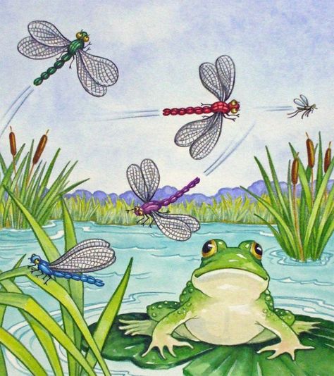 Lily Pad Drawing, Dragon Flys, Frog Illustration, Frog Pictures, Frog Decor, Frog Drawing, Dragonfly Art, Funny Frogs, Frog Art