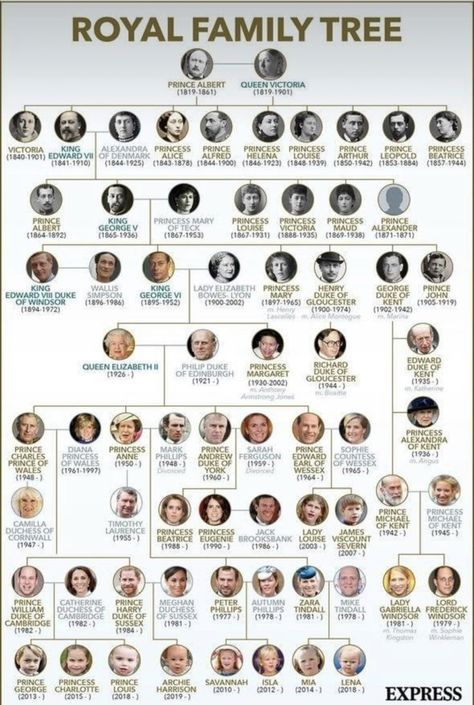 Victoria Family Tree, Family Tree Images, British Royal Family Tree, Royal Family Tree, English Monarchs, Prince Michael Of Kent, Queen Victoria Family, Royal Family Trees, Queen Elizabeth 2