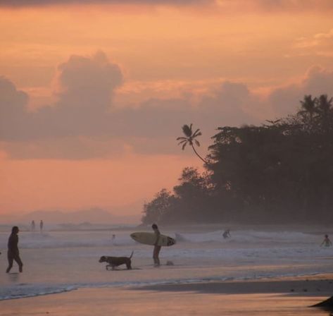 Santa Teresa Costa Rica, Malibu Rising, Surf Lifestyle, Have Inspiration, Summer Dream, Beach Vibe, Island Life, Pretty Places, Summer Aesthetic