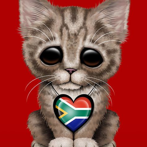 Cute Kitten Cat with South African Flag Heart | Jeff Bartels Brown Tabby Kitten, Maltese Flag, Peruvian Flag, Serbian Flag, Egyptian Flag, Romanian Flag, Albanian Flag, African Cats, Dutch Flag