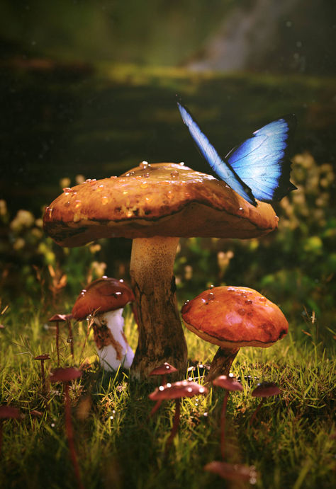 Void Art, Mushroom Background, Faerie Aesthetic, Mushroom Nature, Mushroom Wallpaper, Fairy Forest, Nature Wallpapers, Spiritual Artwork, Fairy Aesthetic